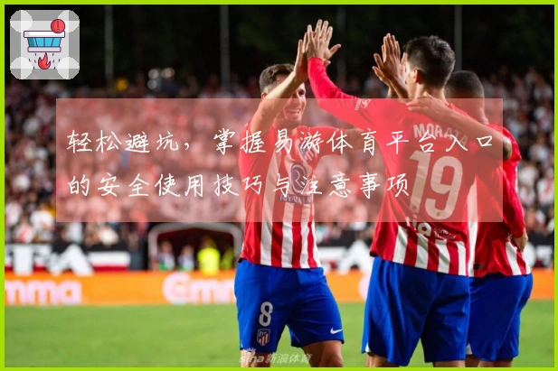 轻松避坑，掌握易游体育平台入口的安全使用技巧与注意事项