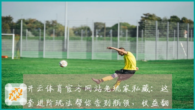 开云体育官方网站老玩家私藏：这套进阶玩法帮你告别瓶颈，收益翻倍！