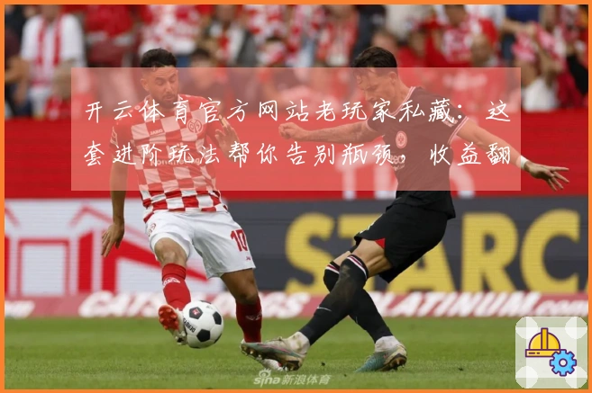 开云体育官方网站老玩家私藏：这套进阶玩法帮你告别瓶颈，收益翻倍！