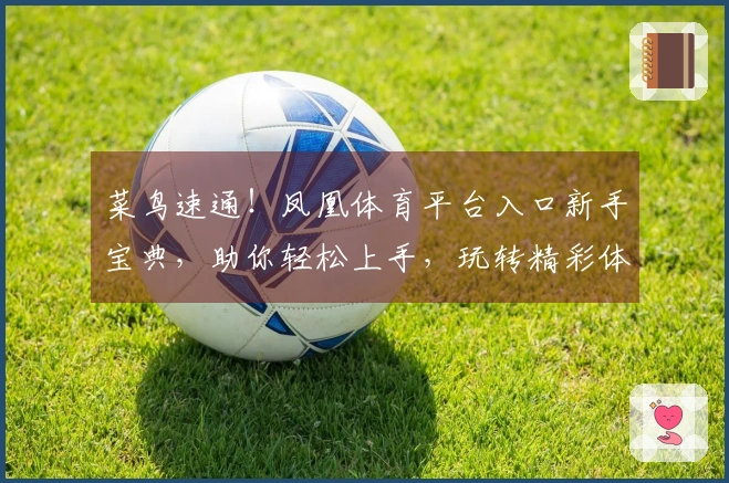 菜鸟速通！凤凰体育平台入口新手宝典，助你轻松上手，玩转精彩体育世界！